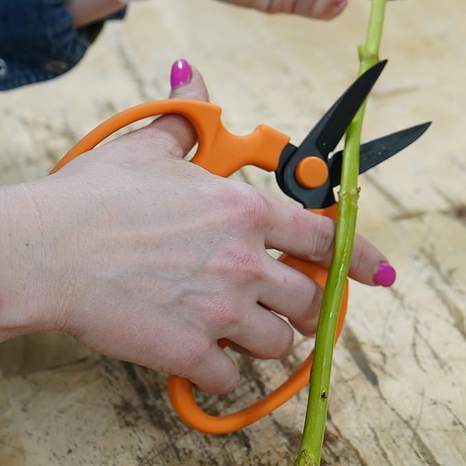 Flower & Garden Scissors With Black Blades 7.0 Inch, Ornithogalum (Orange)