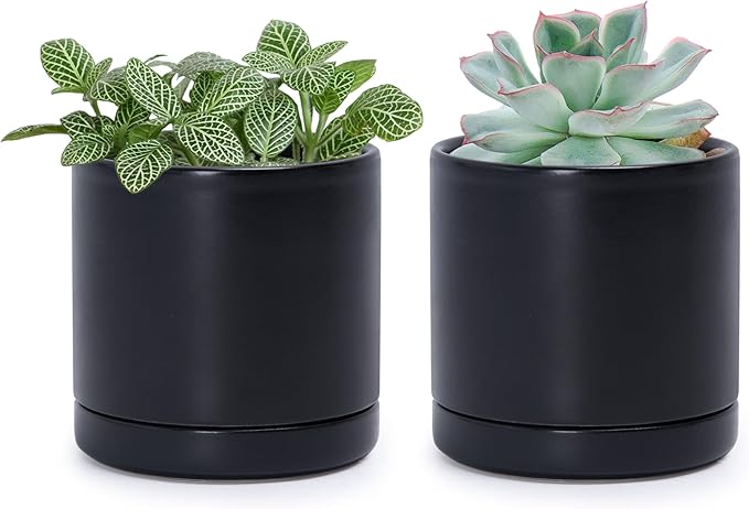 D'vine Dev Set of 2 Plants Pots, 3.5 Inch Ceramic Planter Pot for Plants with Drainage Hole and Saucer, Black, 94-V-A-2