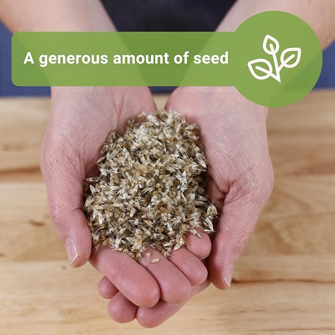 Sow Right Seeds - Bulk Blanket Flower Seeds for Planting - 14 Grams, 5000 Seeds - Non-GMO Heirloom Jumbo Pack to Plant in Your Garden - Perennial Indian Gaillardia - Grow Native Gardens, Adds Color