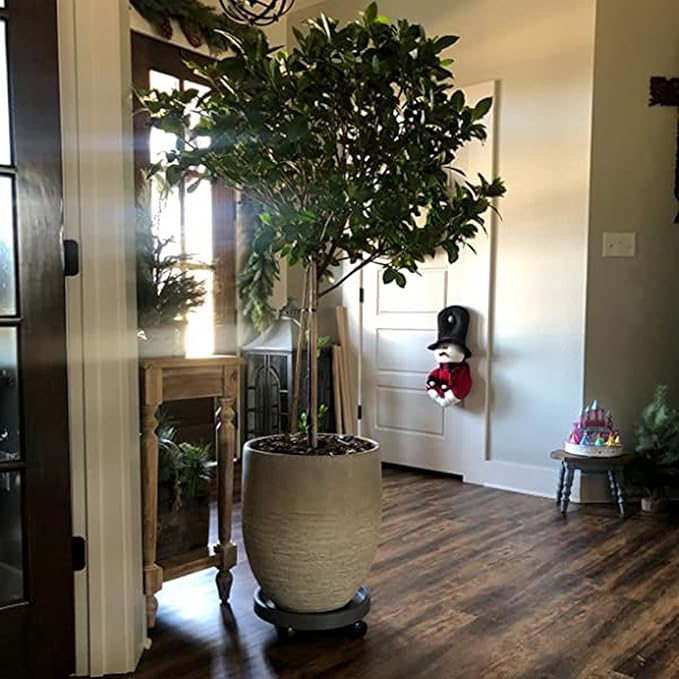 2 Pack of 11 Inch Heavy Duty Plant Caddy with Wheels,Rolling Plant Stand Pot Trolley,Wheeled Planter Saucer Tray,Potted Flower Mover Dolly with Casters Round Coaster for Indoor Outdoor