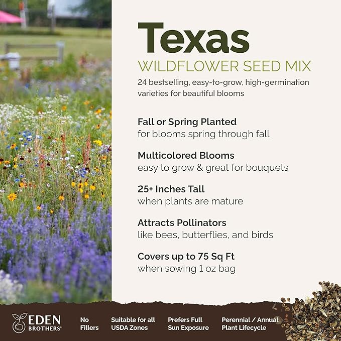 Eden Brothers Texas Wildflower Mixed Seeds for Planting, 1 oz, 30,000+ Seeds with Cornflower, Birds Eyes, African Daisy | Attracts Pollinators, Plant in Spring or Fall, Zones 3, 4, 5, 6, 7, 8, 9, 10