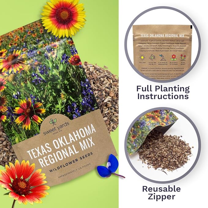 Texas Oklahoma Wildflower Seeds Mixture - Bulk 1/4 Pound Bag - Over 60,000 Native Seeds - Open Pollinated and Non GMO