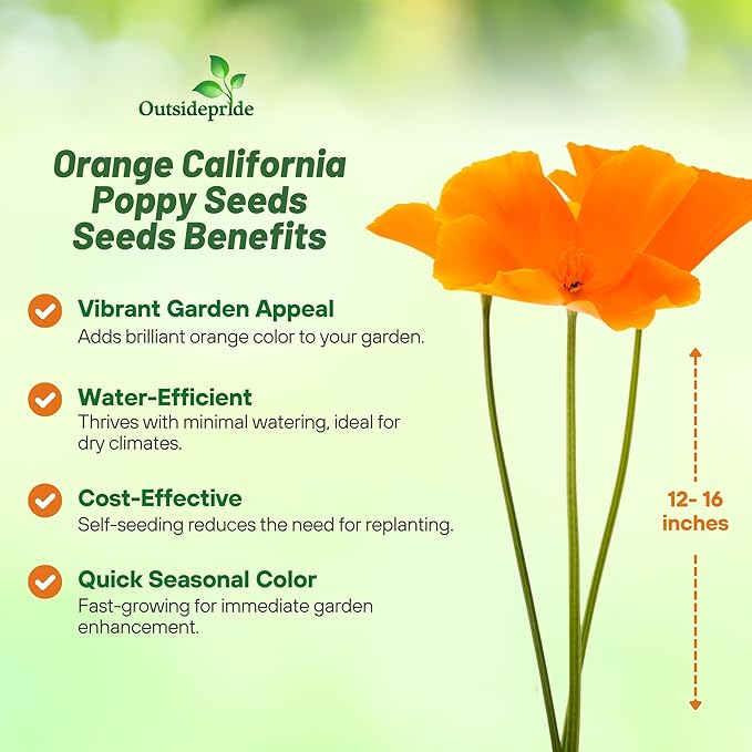 Outsidepride Eschscholzia Orange California Poppy Seeds - 5000 Pcs Annual, Native, Drought Tolerant Wildflower Seeds w/Vibrant Blooms for Full Sun & Drought-Tolerant Pollinator-Friendly Gardens