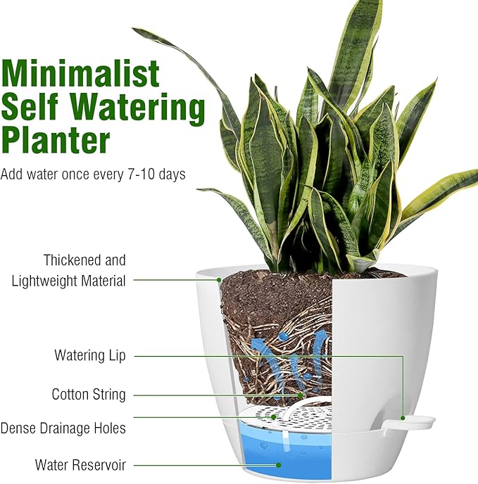 8 inch Self Watering Pots, Planter, Plant Pots with Mesh Drainage Holes for Indoor Outdoor House Plants and Garden, 2 Pack Plastic Flower Pots with Deep Reservoir for Patio Porch, White