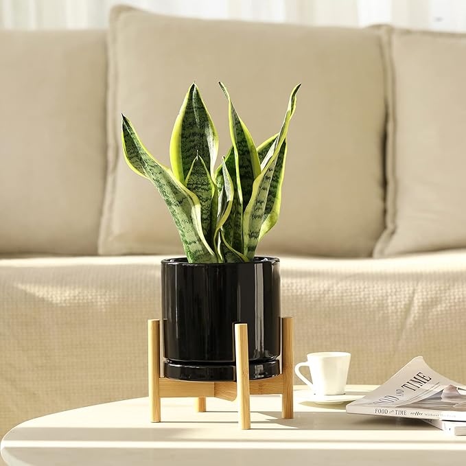 Aveyas 6 inch Ceramic Plant Pot with Drainage Hole and Saucer - Suitable for Indoor and Outdoor Use, Modern Planters for House Garden Orchid Flower Snake Monstera Plants (6", Glossy Black)