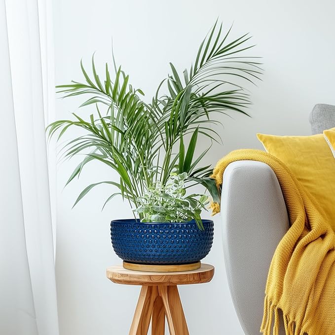 Bonsai Pots - 8 Inch Ceramic Pots for Succulent Plants & Bonsai Tree, Planter with Drainage Hole and Saucer, Modern Round Decorative Flower Planters, House Decor, GIFS for Women Man, Blue