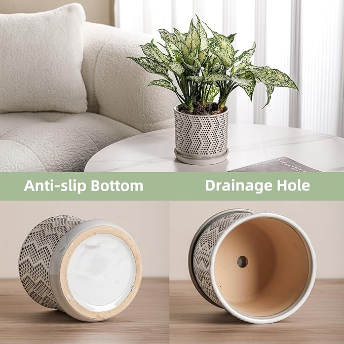 6 Inch Plant Pot: Ceramic Planter with Drainage Hole & Saucer for Indoor Outdoor Plants - Flowerpot with Bonded Tray for Home Office -Mixed Spots Debossed