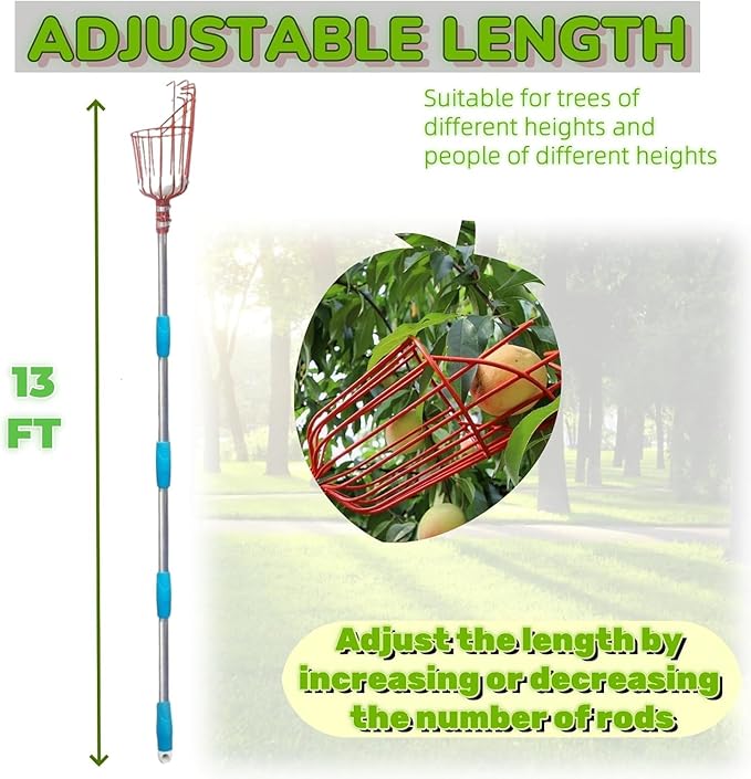 Adjustable Fruit Picker with Telescoping Handle and Basket, 13ft - Ideal for Apple, Orange, Avocado, Lemon, Pear, and Mango Harvesting