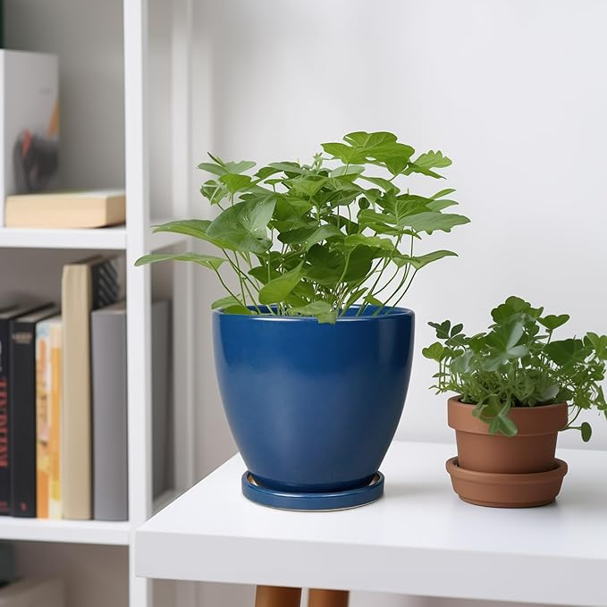 6 Inch Plant Pot - Ceramic Planter with Drainage Hole and Saucer, Modern Round Flower Pot, Planters for Indoor Plants, Home Garden Decor, Blue