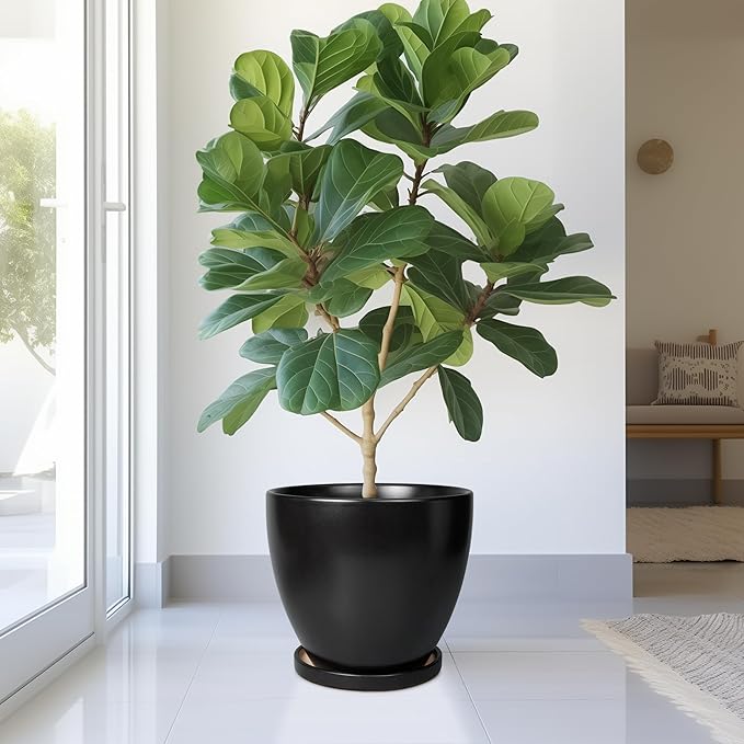 Ceramic Planter - 10 Inch Plant Pot with Drainage Hole and Tray, Round Flower Pots, Planters for Indoor Plants, Modern Room Garden Patio Bathroom Living Room Porch Home Decor, Black