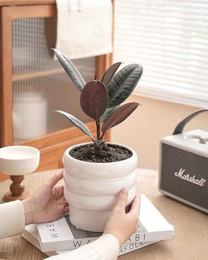 Bubble Ceramic Plant Pots with Drainage Holes and Saucers,6 inch Medium Flower Pots Modern Decor Planter for Indoor Plants(White)