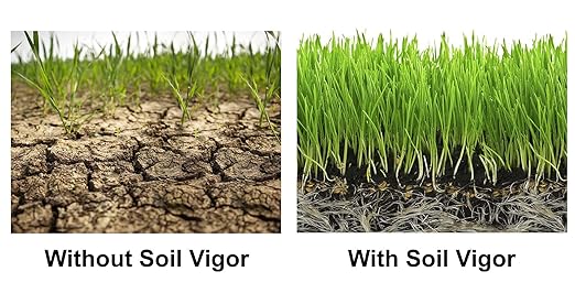 Commercial Grade Super Absorbent Polymer Potassium Based Water Crystal (10 Pound)