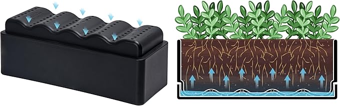 D'vine Dev 12 Inch Window Box Planter, Rectangle Plastic Herb Planter with Drainage Holes and Saucer, Indoor Succulent Cactus Vegetable Pot for Windowsill, Garden Balcony, Black, Set of 2, 76-X-B-2