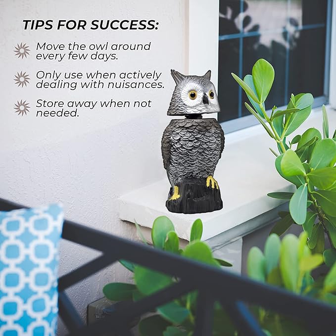 Galashield Owl Decoy to Scare Birds Away Scarecrow Fake Owl with Rotating Head 15" Tall