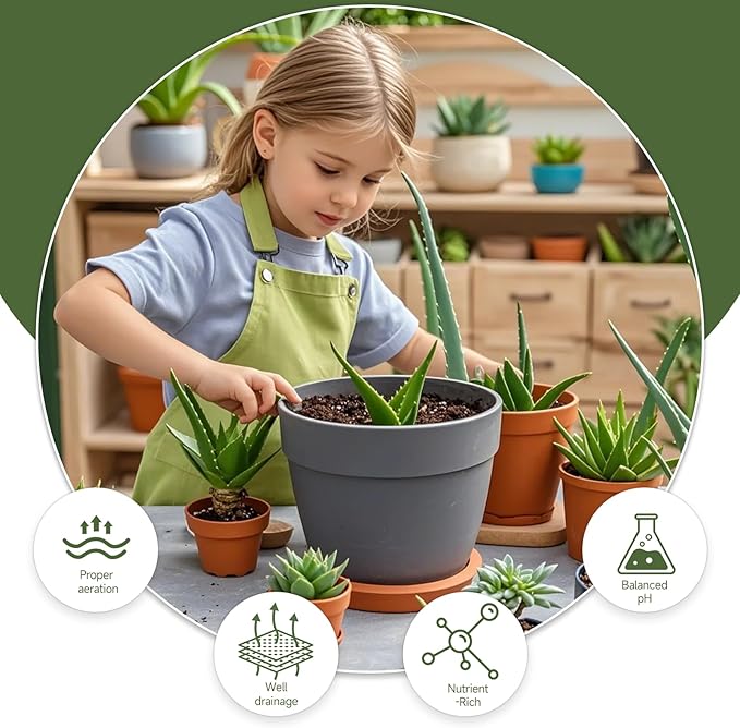 Aloe Vera Potting Soil Mix 10qt, Ready to Use for Seedling and Growing of Aloe Vera Plants or Other Houseplants