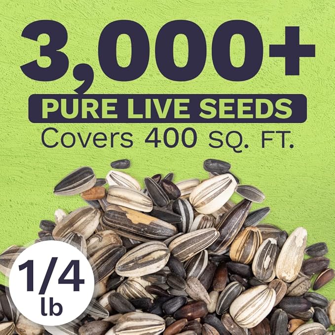 Bulk Sunflower Seeds - Variety Mix 10 Types of Beautiful Sunflowers - 1/4 Pound Bag Open Pollinated Sunflower Seeds for Planting