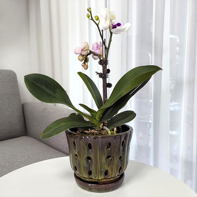 Ceramic Orchid Pots with Attached Saucer and Drainage Hole 6'' Orchid Planter (mossgreen)