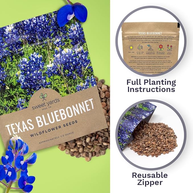 Texas Bluebonnet Wildflower Seeds - Bulk 1/2 Ounce Packet - Over 500 Native Seeds - Texas State Flower!