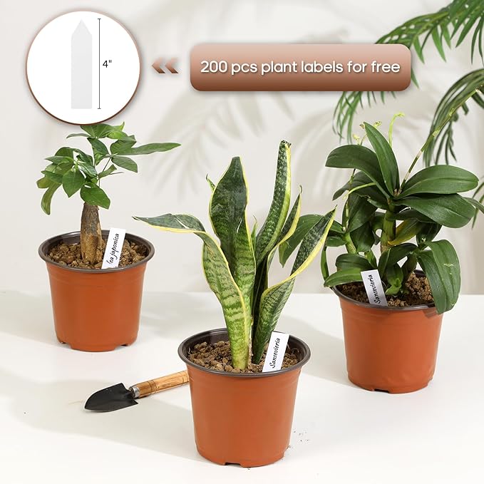 200 Pack 6 Inch Plastic Nursery Pots for Plants, Seedling Pots Succulent Pots Flower Pots with Drainage Holes, Come with 200pcs Plant Labels