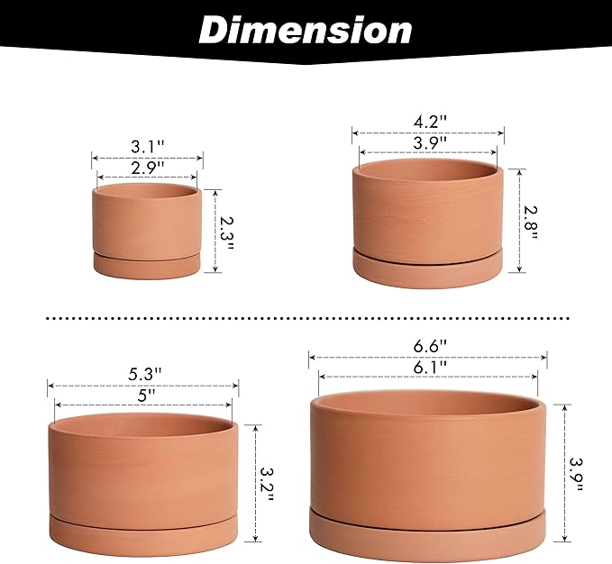 D'vine Dev Set of 4 Terracotta Shallow Planter Pots for Succulent, 3 Inch 4 Inch 5 Inch 6 Inch, Small Flower Plant Pots with Drainage and Saucer, 40-Z-0