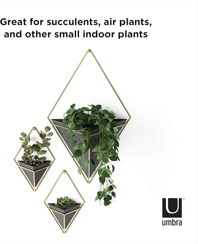 Umbra Trigg Hanging Planter Vase Wall Decor, Set of 2 Pots Containers for Succulents, Cactus, Faux Plants, and More, Small, Black/Brass