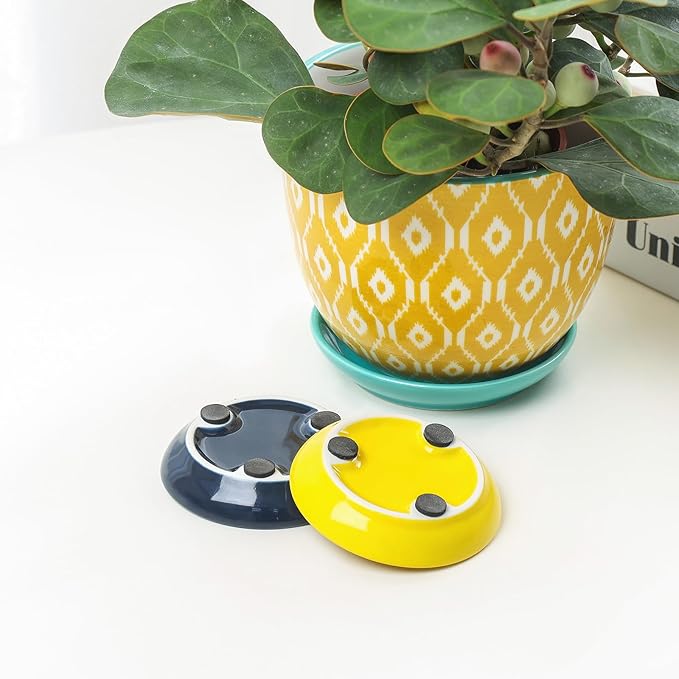 Selamica Ceramic Succulent Pots with Drainage Holes, Small Flower Pots 3.5 Inch Plant Pots for Indoor Plants with Saucers, Cactus Succulent, Home Decor, Set of 4, Assorted Colors