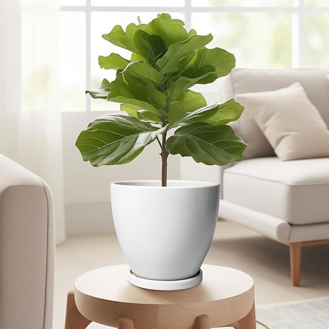 Ceramic Pots for Plants - 6 Inch Plant Pot with Drainage Hole and Saucer, Succulent Round Flower Planters for Indoor, Home Decor, White