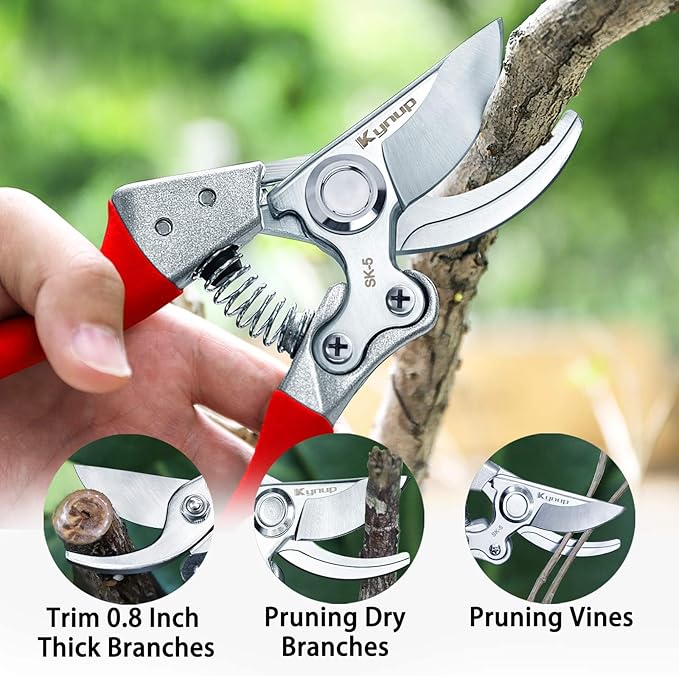 Kynup 2Packs Pruning Shears for Gardening, Garden Shears Heavy Duty, Professional Bypass Pruner Hand Shears, Tree Trimmers Secateurs, Garden Clippers for Plants, Hedge Shears, Garden Tools (Red)