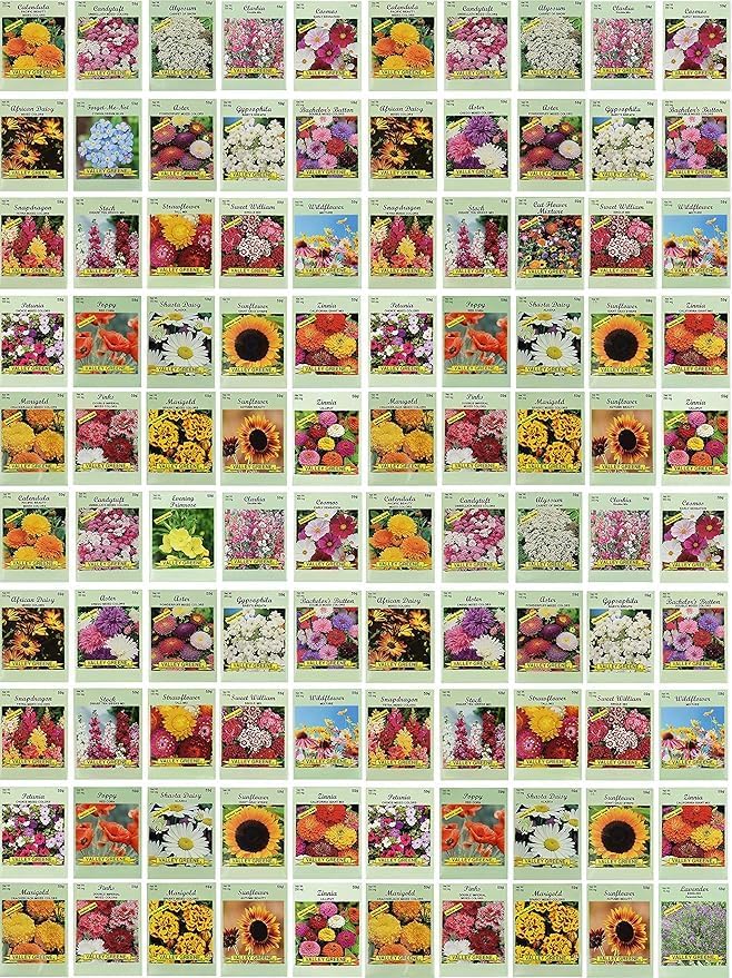 Black Duck Brand Set of 1000 Flower Seed Packets! Flower Seeds in Bulk - Best Value Seeds - Great for Classrooms, Beginner Gardeners and Kids! - Deluxe Varieties! (1000)
