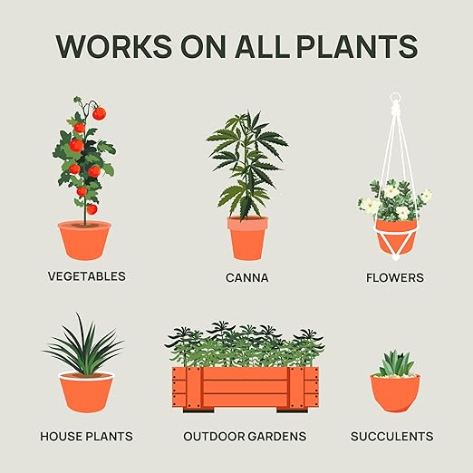 Strive Fertilizer Part B Package - Veg + Bloom General Hydroponic Nutrients - Premium Indoor, Outdoor and Soil Growing Plant Food - Enhancer - Booster for Vegetables, Succulents, Flowers & More