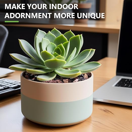 5lbs Lava Rocks for Plants, 1/5 Inch Pea Gravel for Pots Indoor, Succulent, Terrarium, Cactus, Bamboo, Bonsai Tree, Mixed Color Volcanic Rocks for Top-Dressing, Good Drainage