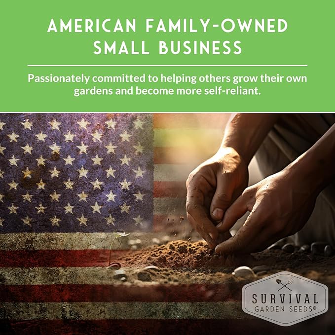 Survival Garden Seeds Chocolate Cherry Sunflower Seed for Planting - Pack with Instructions to Plant & Grow Burgundy Sunflowers in Your Vegetable & Flower Garden - Easy-to-Grow Heirloom Variety (1)