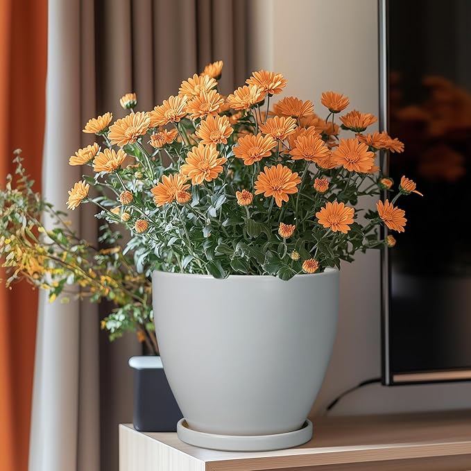 Ceramic Pots for Plants - 8 Inch Planter, Indoor Plant Pot with Drainage Hole and Saucers, Modern Flower Planters, Home Garden Patio Bathroom Porch Room Decor, Gray