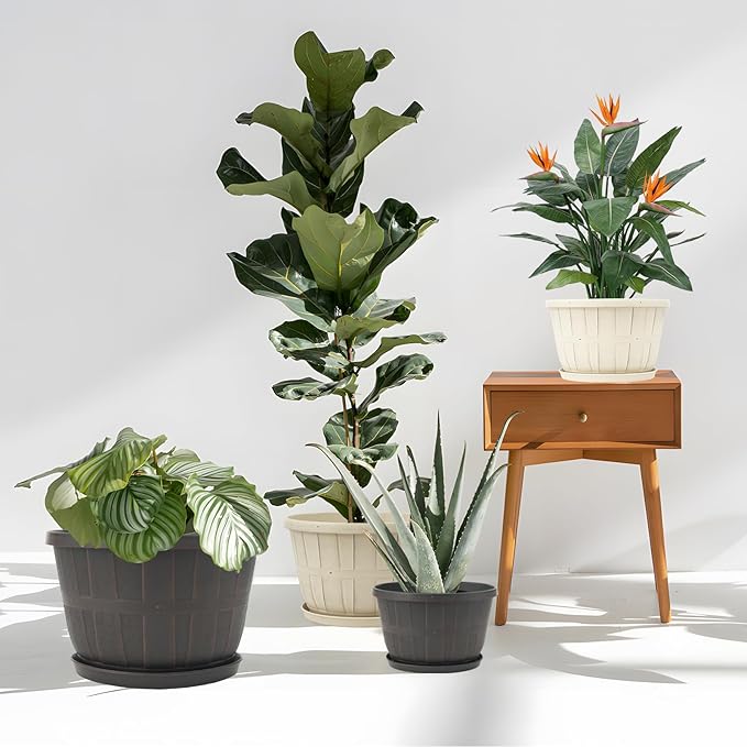 Quarut Plant Planters Pots Set of 4 Pack 16 Inch，Large Plastic Flower Pot for Indoor Plants with Drainage Holes & Trays, Whiskey Barrel Planters with Saucer for House Outdoor Garden Plant（Beige）