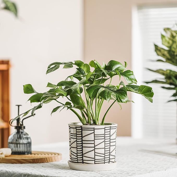 6 Inch Plant Pot: Ceramic Planter with Drainage Hole & Saucer for Indoor Outdoor Plants - Flowerpot with Bonded Tray for Home Office - Stripe Debossed