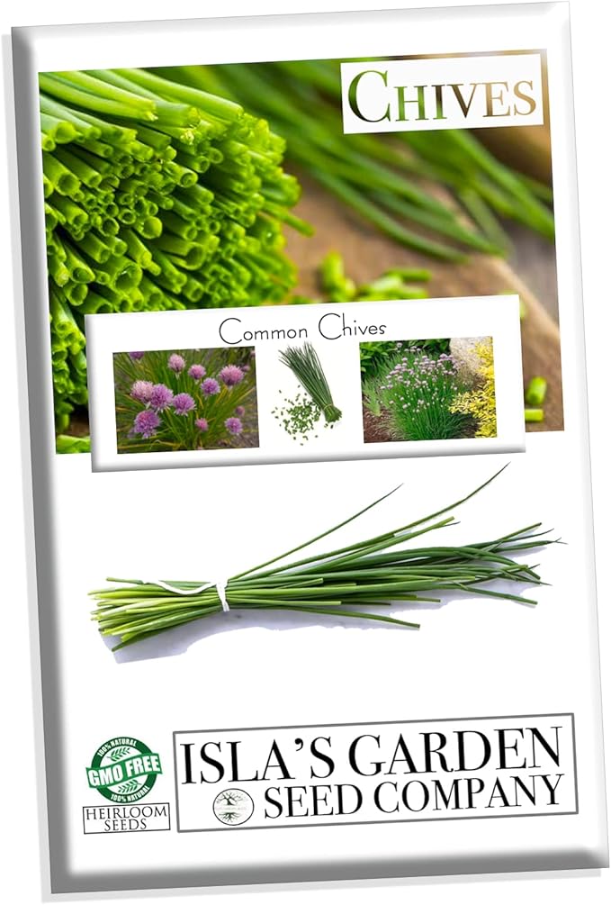 Common Chives Seeds for Planting, 1000+ Heirloom Seeds Per Packet, (Isla's Garden Seeds), Non GMO Seeds, Botanical Name: Allium tuberosum, Great Herb Garden Gift