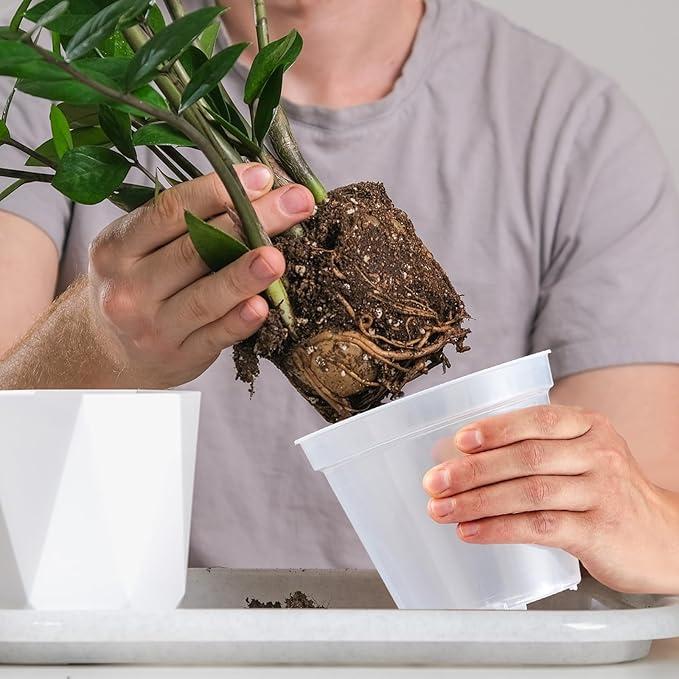 Vesici Large Size Clear Nursery Pots Variety Pack Plant Pots with Drainage Holes Planters for Indoor Plants Flexible Transparent Plastic Plant Bottle Succulents(32 Pcs,3/4/5/6/7 Inch)