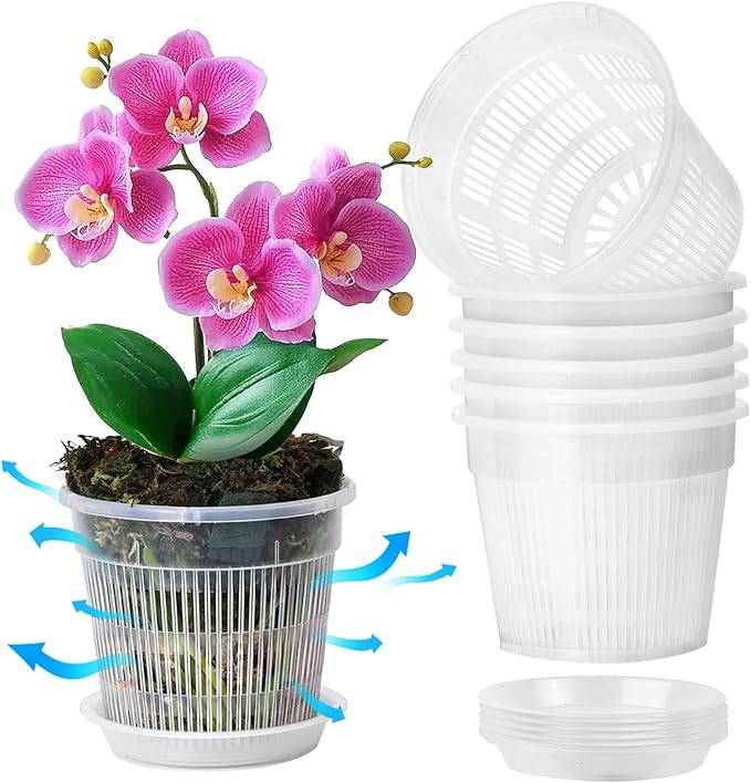 T4U Orchid Pot, 6 Pack 6.3 Inch Orchid Pots with Holes and Saucers, Clear Orchid Pots for Repotting, Plastic Flower Plant Pot for Indoor Outdoor Plants, Slotted Orchids Planter for Root Health
