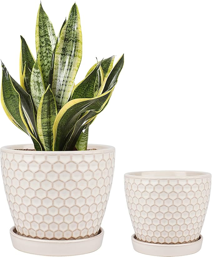 Docrin Ceramic Plant Pots Indoor: 6.6 + 5.5 Inch Planters with Drainage Holes and Saucer for Home/Office - Set of 2 /Milky White Honeycomb