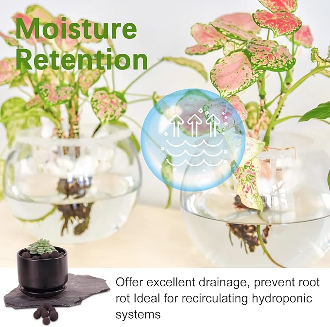 5LB LECA Explanded Clay Pebbles, 14-16mm Lightweight Clay Aggregate for Hydroponic Growing, Premium Grow Media for Orchids, Aquaponics Plants and Horticultural Drainage, Black