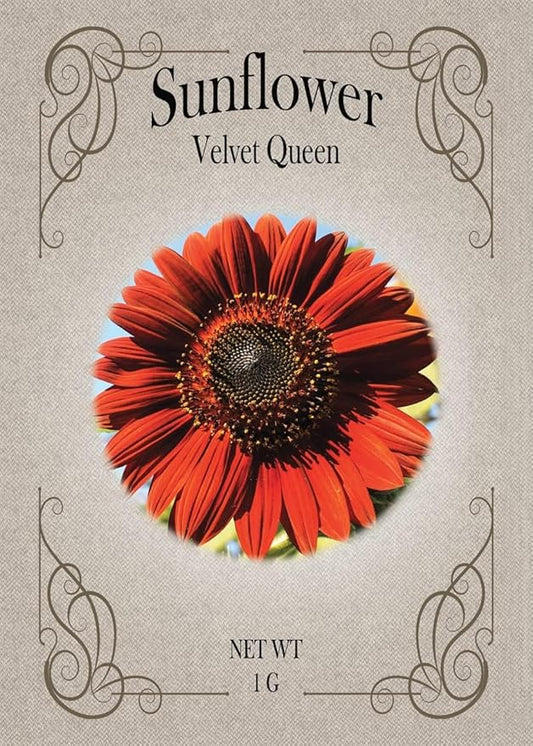 Set of Flower Seed Packets! Flower Seeds in Bulk - Great for Creating The Garden of Your Dreams! (200, Velvet Queen Sunflower)