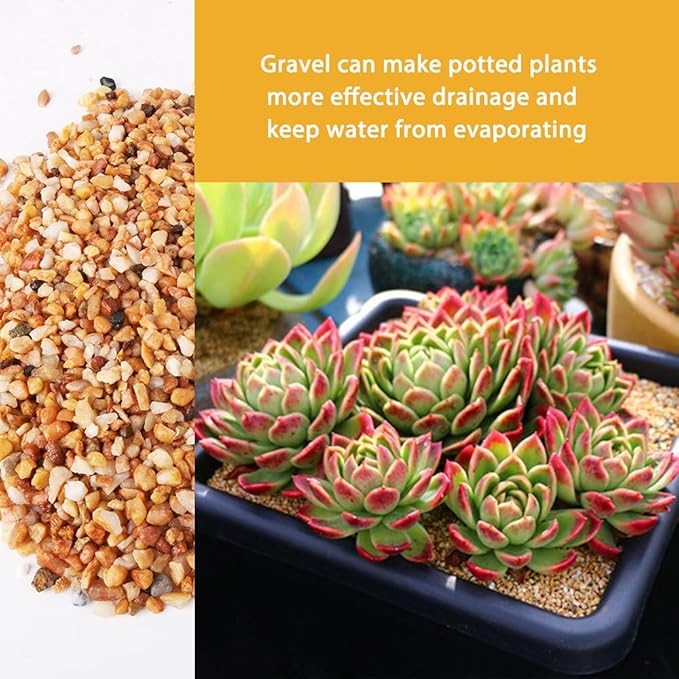 3lb Coarse Sand Stone-Succulents and Cactus Bonsai DIY Projects Rocks,Decorative Gravel for Plants and Vases Fillers,Terrarium,Fairy Gardening,Natural Stone Top Dressing for Potted Plants (2mm-4mm)