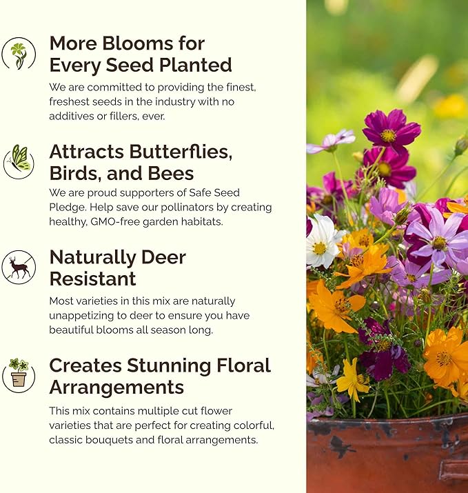 Eden Brothers Crazy for Cosmos Flower Mixed Seeds for Planting, 50 lb, 24,000,000+ Seeds with Cosmos Gloria, Pinkie, Purity, Attracts Pollinators, Plant in Spring or Fall, Zone 3, 4, 5, 6, 7, 8, 9, 10