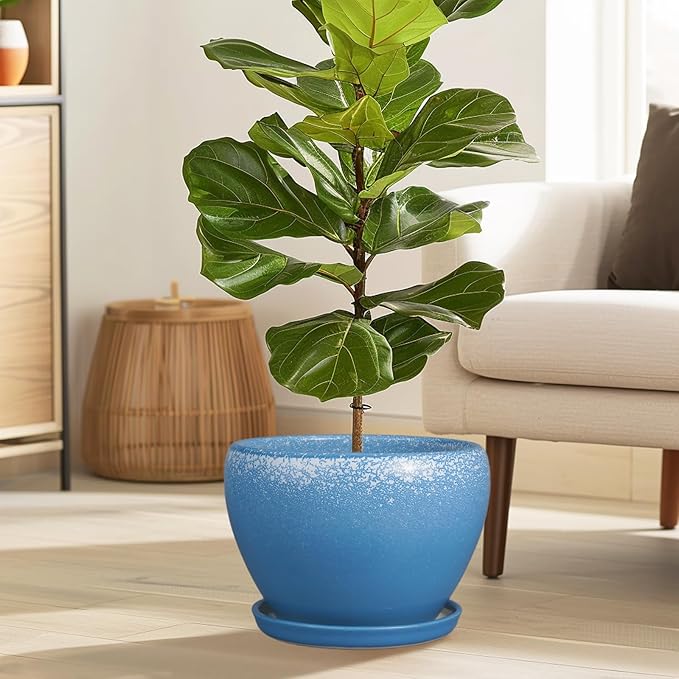 Ceramic Planter Pot 10 Inch - Ceramic Plant Pot for Indoor Outdoor Plants, Large Flower Pot with Drainage Hole and Saucer, Blue