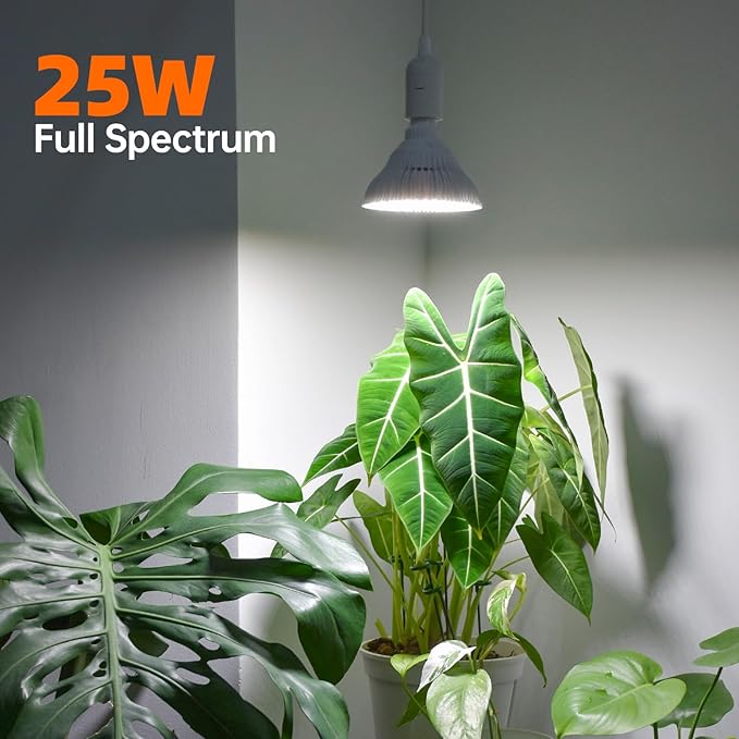 Hanging Grow Lights for Indoor Plants, 25W Full Spectrum, White Plant Light Bulb with Timer, 16.4FT Power Cord, 5000K, Pendant or Ceiling Installation, Perfect for Tall Plants, and Plant Shelf