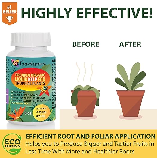 Specific Care for Tropical Beauties - 32 oz - Concentrated Kelp & Seaweed Extract for Thriving Tropical Plants