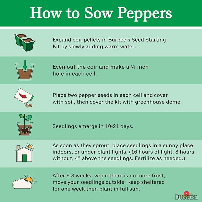 Burpee McMahon's Bird Pepper Hot Pepper Seeds 30 seeds