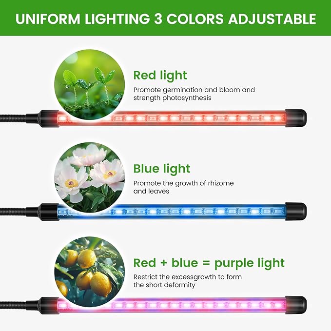 Clip Grow Light for Indoor Plants, Red Blue Spectrum Plant Growing Lamp with 3 Switch Modes,10-Level Dimmable,Auto ON & Off,3/9/12H Timer,Adjustable Gooseneck,1080 Lumen,Input Volateg 10W