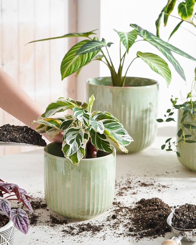 LE TAUCI Ceramic Planters, 8.3+6.9+5.7 Inch Plant Pots for Indoor Plants, Set of 3 Flower Pot with Drainage Holes, Large Round Planters Pot for Indoor House Plants, Reactive Glaze Sage Green