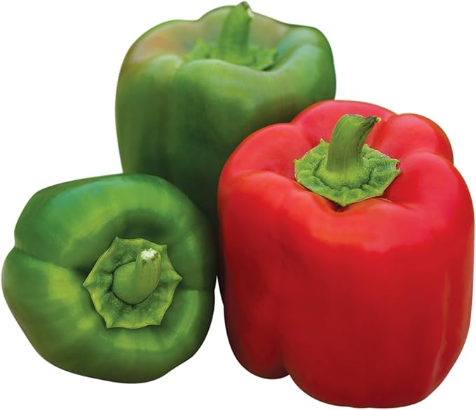 Burpee 'Sweet Candy Apple' Hybrid | Bell Pepper